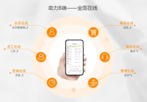 生鮮電商虧損潮中，點DMall為何能逆勢融資28億？